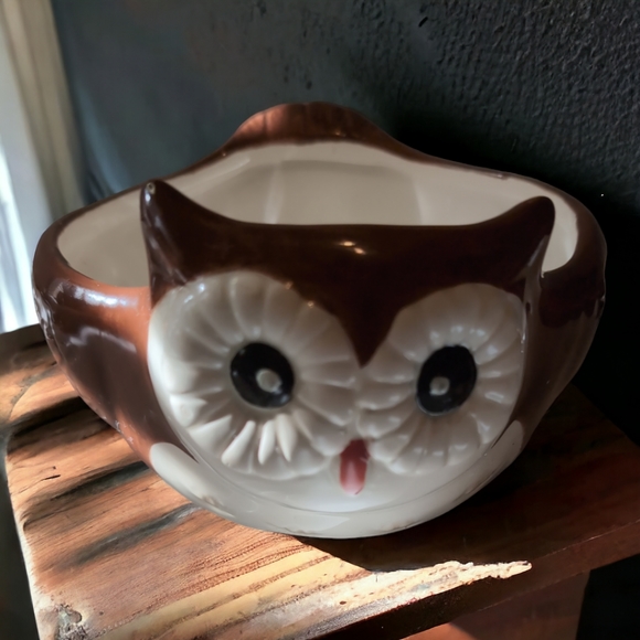 Better Homes and Gardens Owl planter bowl - Picture 1 of 10